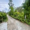CHÁNH AN, PHONG CHƯƠNG 📍Cách đường nhựa chỉ 100m – Ngay khu dân cư , gần chợ, trường học