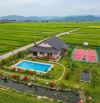 BÁN ĐẤT XÃ LÁNG DÀI - ĐẤT ĐỎ .BRVR 1000M2 80TC NGANG 28M MẶT TIỀN NHỰA DÂN CƯ