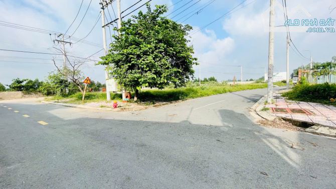 Bán Đất Khu TĐC P. Tân Phong Hướng Chợ Cây Xăng 26 DT 115m2 Chỉ 1,6 Tỷ