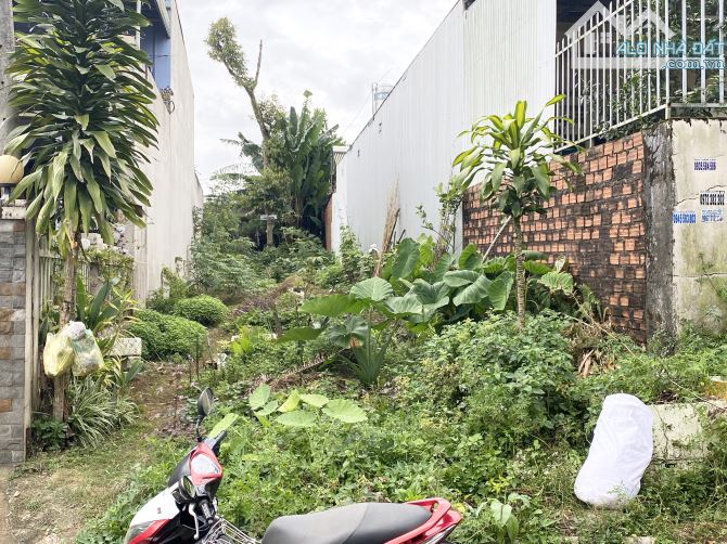 ✅✅Bán đất hẻm 133 Bùi Thị Xuân, phường 1 Bảo Lộc - 1