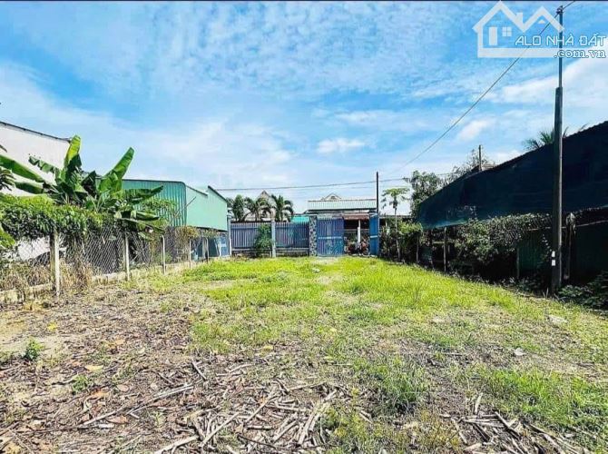 MÌNH CẦN TIỀN SANG LẠI LÔ ĐẤT THỔ VƯỜN 318m2 CÓ SỔ HỒNG