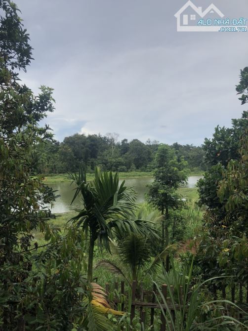 BÁN 2 SÀO ĐẤT NGHĨ DƯỠNG VIEW HỒ ĐẠT LÝ, P. TÂN AN, TP. BUÔN MA THUỘT - GIÁ: 3 TỶ 890 TRIỆ