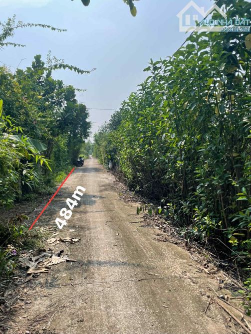 Đất Trồng cây lâu năm Yên Mỹ, Thanh Trì. DT:484m, giá: 2.39 tỷ, xung quanh có nhiều nhà C4