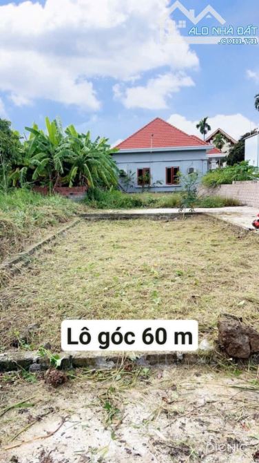 🔥Bán lô góc Hoàng động đẹp như mơ   🔥DT 60 m ngang 5,25  👉Hướng nam mat mẻ