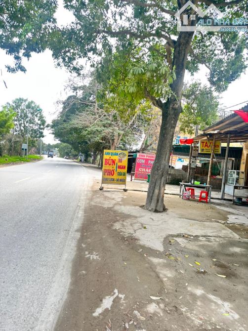 Bán đất mặt ql45 bệnh viện phổi. dt 100m2, mt 5 tại Quảng Thịnh, thành phố Thanh hoá