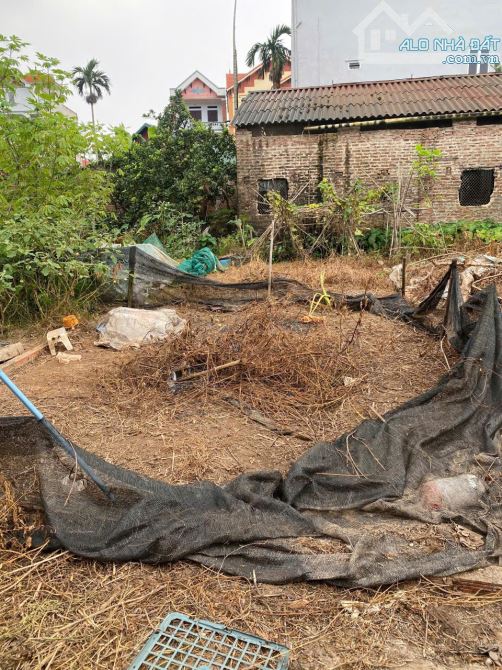 Bán 50m đất Tráng Việt, Mê Linh, HN. Đường thông, oto đỗ đất. Gần dự án cầu Thượng Cát