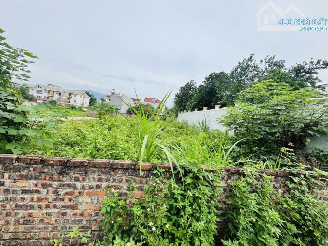 Bán 185m đất ở tại Vệ Linh, Phù Linh, Sóc Sơn