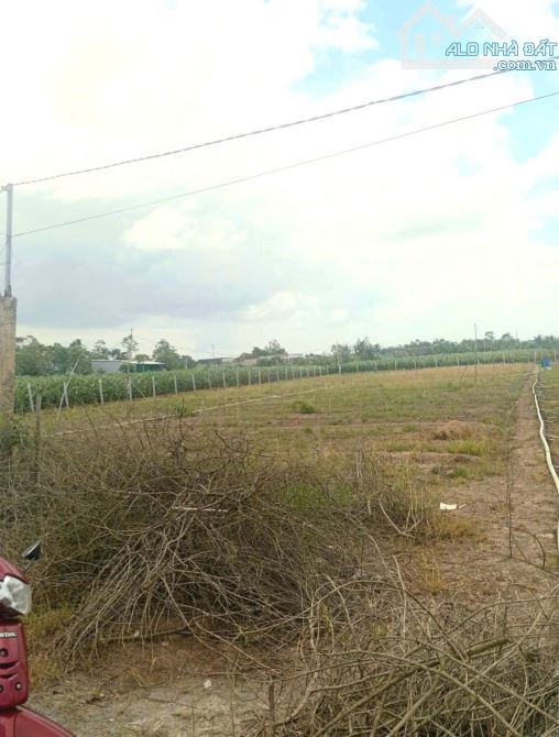 B.á.n 6,2 công đất nền đẹp – mặt tiền ôtô gần HL02 hướng TT Tân Hòa cũ nay xã Tân Hòa , Đồ