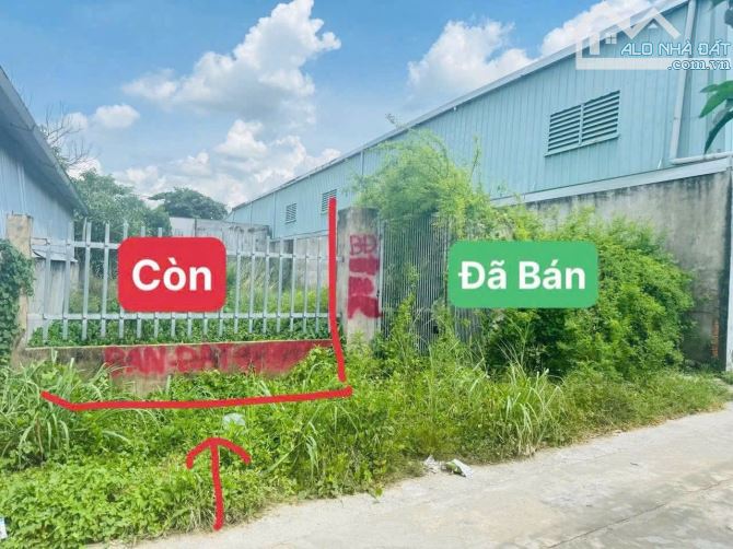 Cần bán 156m2 đất ở vườn thơm bình chánh giá 2,6 tỷ