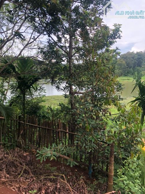 Đất 2,1 sào view hồ Đạt Lý (61x38m) cực đẹp hẻm 11A chỉ 3,89 Tỷ