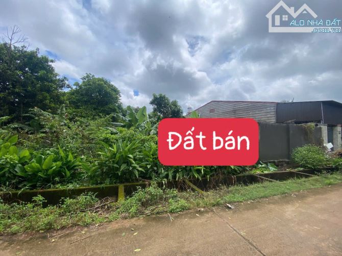 ĐẤT HẺM NGUYỄN TRƯỜNG TỘ THÔNG 233 YWANG - BMT - ĐAKLAK