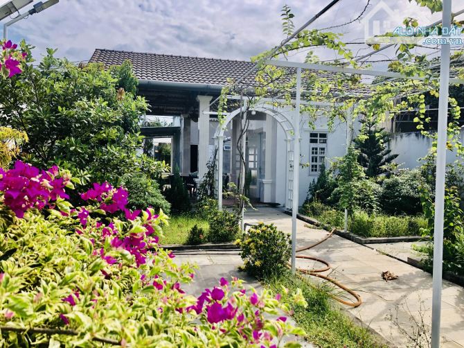 Bán đất tặng  Nhà vườn Phước Hải-ra biển 5p Dt:488m2-10mx48m-100 thổ cư Giá 4ty6