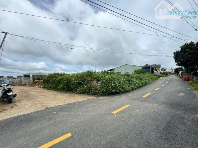 🌿 ĐẤT Ở BIỆT LẬP – TRẠI MÁT - VIEW THOÁNG  - 8.8 TỶ