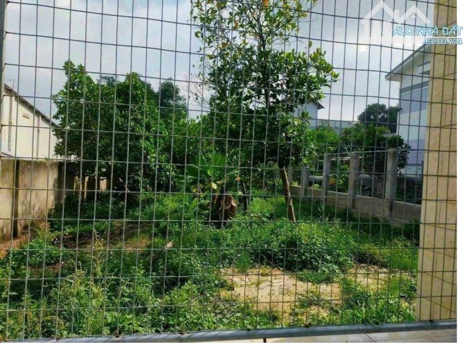 Bán đất phân lô BỒ CÂU CHIẾN SỸ  tuyệt đẹp 58m chỉ 11.9 tỷ