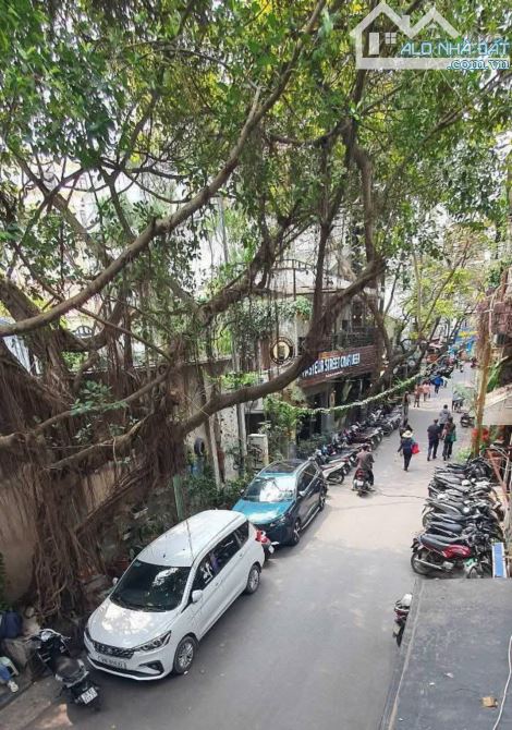 Tổng Tài Né Bão – Sở Hữu Nhà Đẹp Hoàng Cầu
