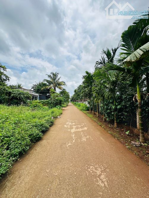Lô đất siêu đẹp ko khuyết điểm (6x30m) mặt đường D3 - Buôn Ju