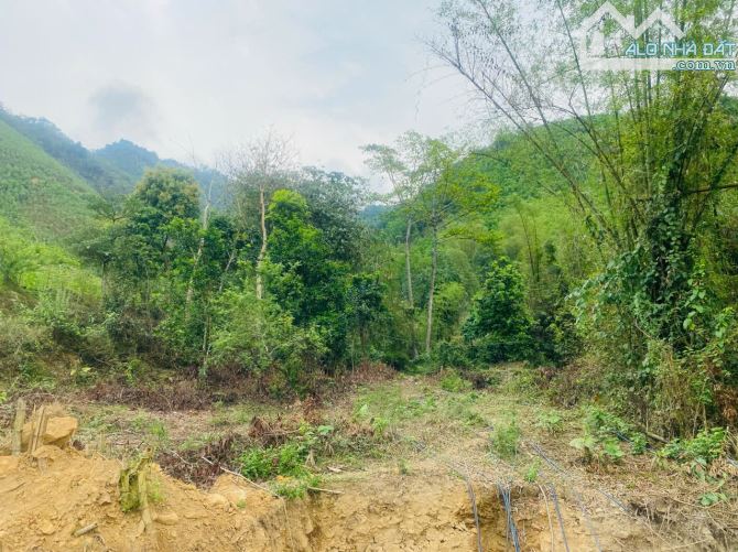 BÁN LÔ ĐẤT BÁM SUỐI VIEW ĐẸP CHỈ 1.X TỶ TẠI KIM BÔI HÒA BÌNH