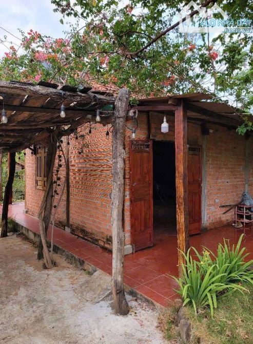 NHÀ VƯỜN HÒA NAM - BUÔN ĐÔN GIÁ 1.5Tỷ GIẢM KỊCH SÀN CÒN 1 Tỷ050