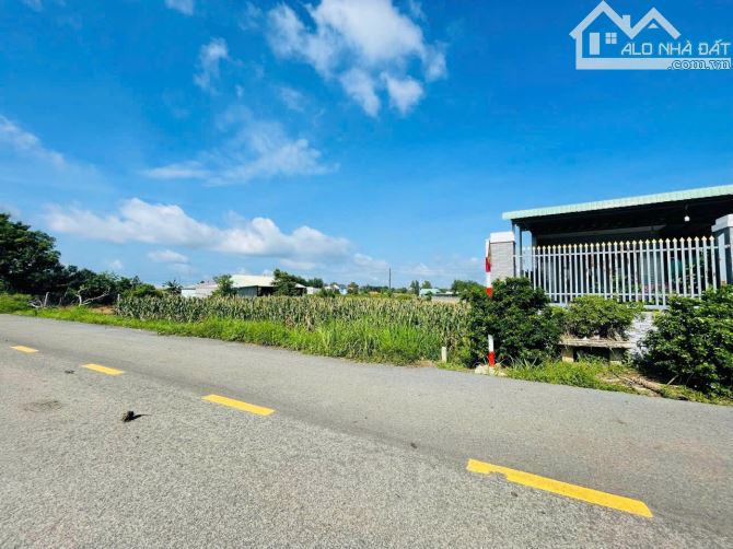 👉VƯỜN TRÁI CÂY LÁNG DÀI- ĐẤT ĐỎ -BRVT 🌈DT 2.900m2  - ngang 33m x72m quy hoạch đất ở