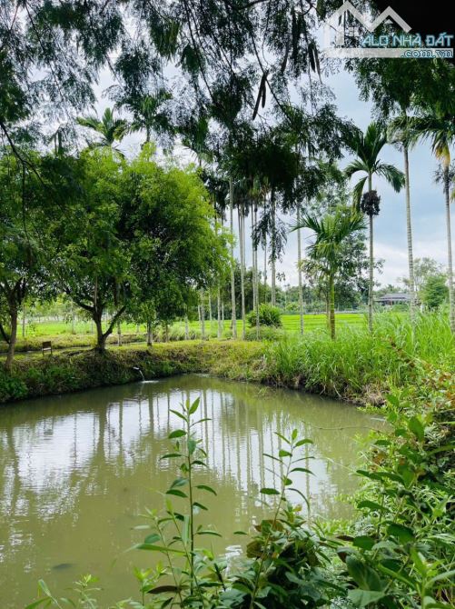 Nhà vườn view hồ 3,4 sào Tc200 sau lưng Đồi Thông Hoà Thắng 14 Tỷ - 10