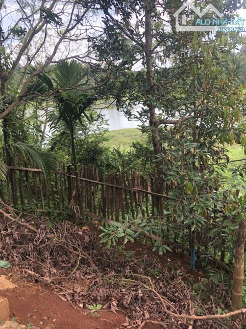 BÁN 2 SÀO ĐẤT NGHĨ DƯỠNG VIEW HỒ ĐẠT LÝ, P. TÂN AN, TP. BUÔN MA THUỘT - GIÁ: 3 TỶ 890 TRIỆ - 11
