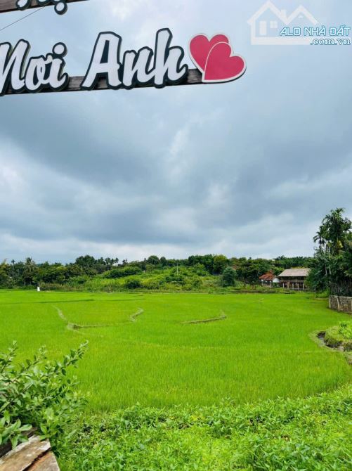 Nhà vườn view hồ 3,4 sào Tc200 sau lưng Đồi Thông Hoà Thắng 14 Tỷ - 11