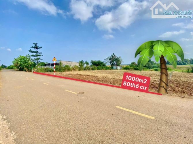 BÁN ĐẤT XÃ ĐẤT ĐỎ - TP HỒ CHÍ MINH; ( Cũ là xã Láng Dài - Huyện Long Đất - BRVT) Dt 1000 - 1