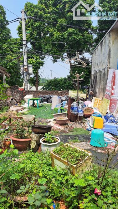 Siêu hiếm Hoàng Mai ,Thúy Lĩnh 51m Mt 4.2m chi có 8.5tỷ  - Vị trí đẹp ngõ ô tô tránh  Phù - 1