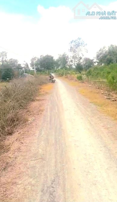 B.á.n 6,2 công đất nền đẹp – mặt tiền ôtô gần HL02 , Bình Nghị, Gò Công Đông, TG - 1
