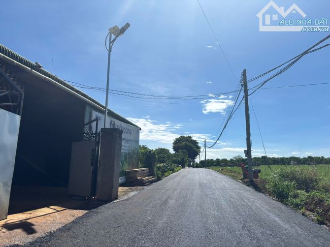 Lâm Đồng lô đất ngang 6m, sâu 28m. Đường nhựa trước đất 6m, sẵn sổ có thổ cư giá bán triệu - 1