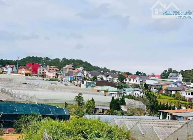 BÁN ĐẤT BIỆT LẬP 207m2 PHƯỜNG 8, ĐÀ LẠT – NGANG 14m FULL THỔ – VIEW THOÁNG - 1