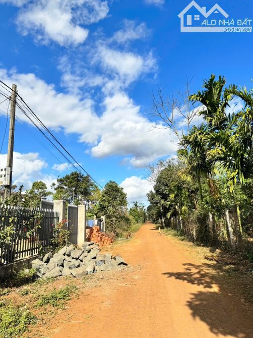 CẦN BÁN LÔ CUÔR ĐĂNG GIÁP HOÀ THUẬN CHỈ 450 TRIỆU - 1