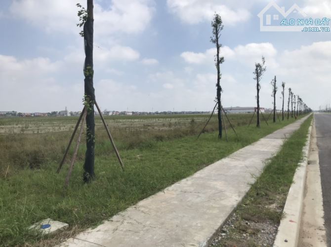 Chuyển nhượng lô đất 30.000m2 Khu công nghiệp Vsip Bắc Ninh, vị trí đẹp. - 1