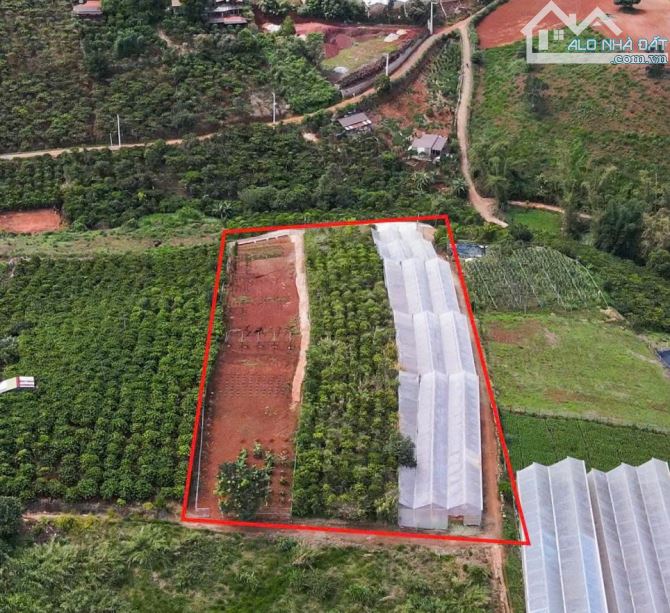 🔥🔥Hàng hiếm 🔥🔥Chỉ 3tr/m2 đã sở hữu lô đất 3 mặt tiền với view 360 độ cực đẹp. - 1