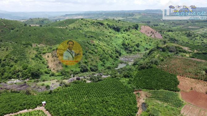 4000m2, ô tô, 🌲 CHỐN NGHỈ DƯỠNG GIỮA RỪNG THÔNG – GIÁ CỰC TỐT 🌲 - 1