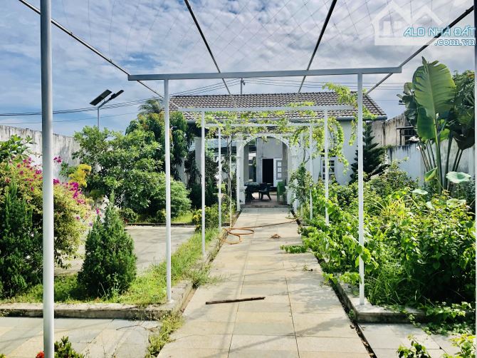 Bán đất tặng  Nhà vườn Phước Hải-ra biển 5p Dt:488m2-10mx48m-100 thổ cư Giá 4ty6 - 1