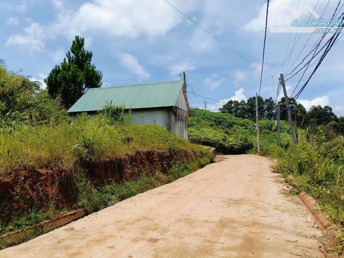 🏡 SIÊU PHẨM ĐẤT Ở BIỆT LẬP ĐƯỜNG 14/3 – LẠC DƯƠNG VIEW THUNG LŨNG 🌄 - 1