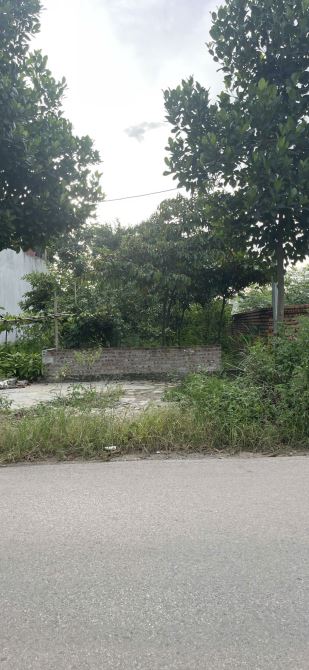 127m2 ĐẤT ĐẤU GIÁ TRỤC CHÍNH VAI RÉO - 1