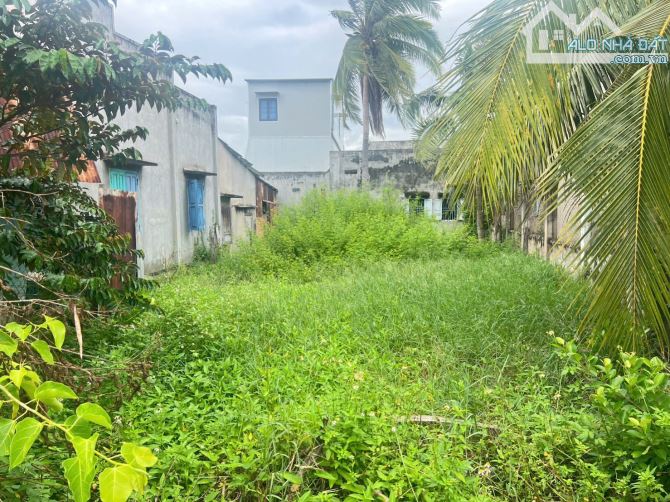 💥BÁN ĐẤT THỔ CƯ TRONG KDC XÃ HÀM MỸ - BÌNH THUẬN - 1