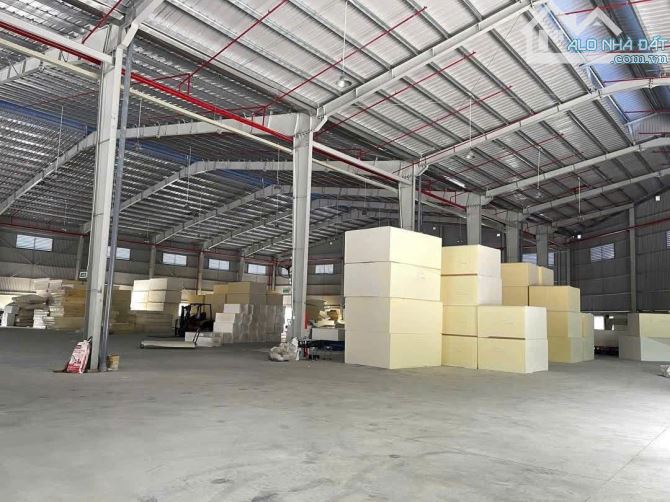 XT462 Cho thuê kho vân hành Logistic và Kho Ngoại Quan tổng diện tích gần 2Ha - KCN Long T - 1