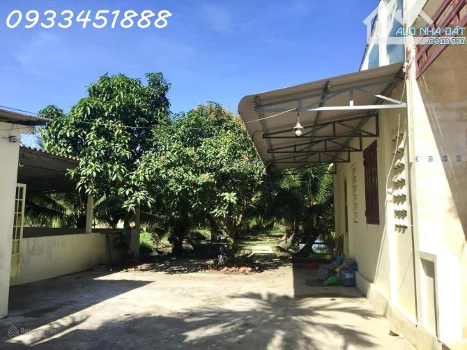 Nhà vườn dừa cây ăn trái với gara nhà kho và 2 mặt tiền - 1