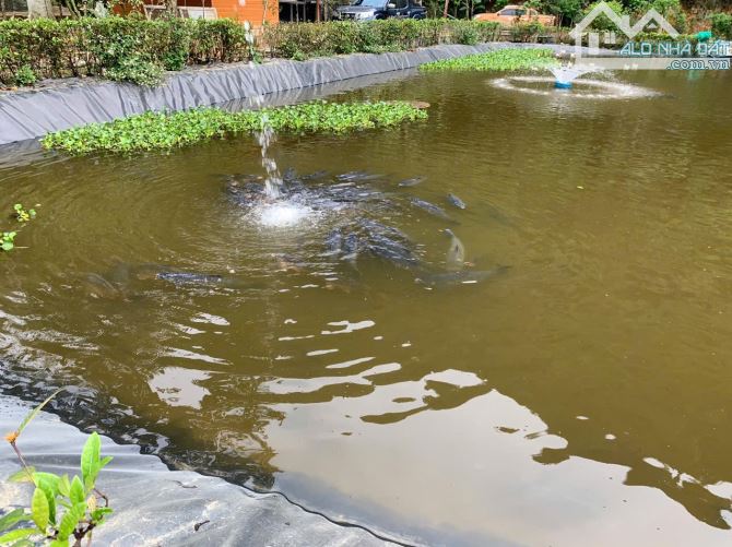 Bán khu đất nghỉ dững Lương Sơn. Dt 4.600m2, ngay sân gôn Sky Lake. Giá 8 tỷ - 1