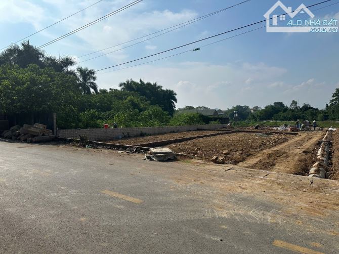 Bán 105m đất trục chính thôn đồng trạng cổ đông. - 1