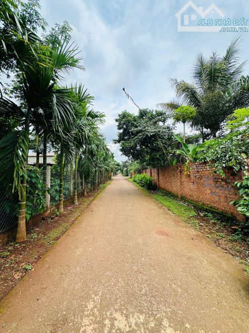 Lô đất siêu đẹp ko khuyết điểm (6x30m) mặt đường D3 - Buôn Ju - 1