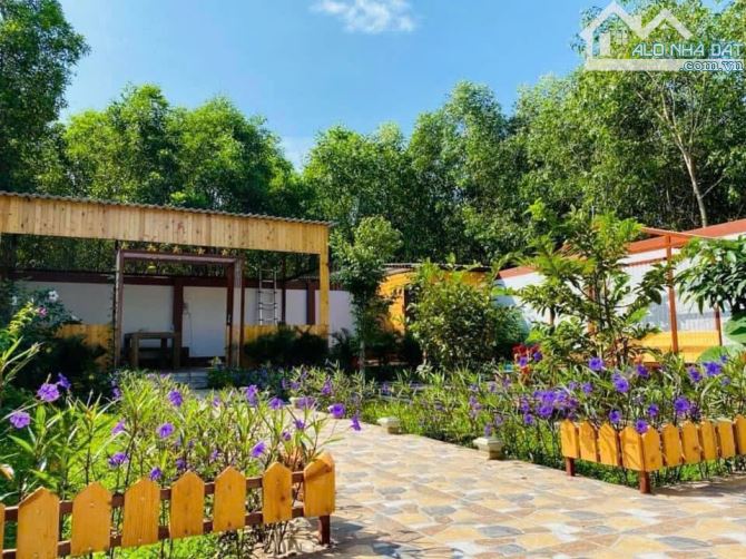 Cần bán căn nhà vườn Phước Hội, Gần Biển Phước Hải - Đất Đỏ- Bà Rịa VT - 1