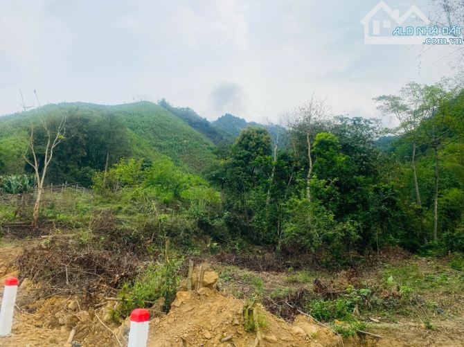 BÁN LÔ ĐẤT BÁM SUỐI VIEW ĐẸP CHỈ 1.X TỶ TẠI KIM BÔI HÒA BÌNH - 1