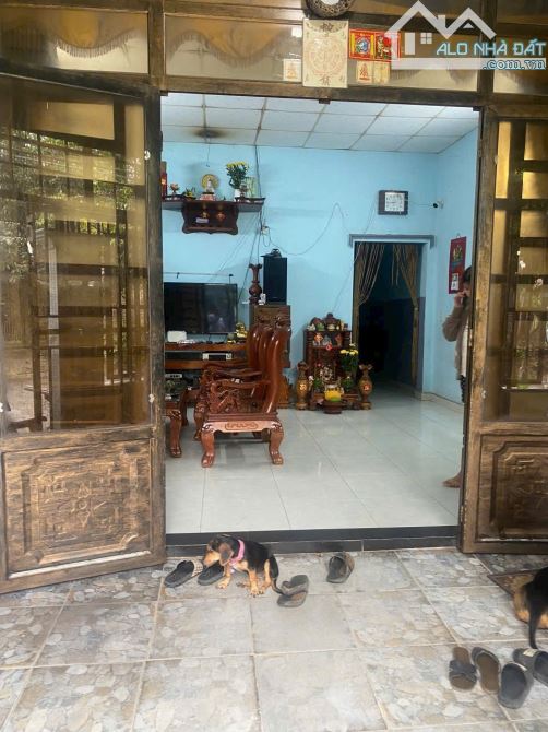 Bán nhà cấp 4 gần đường Bùi Thị Xuân, p.Tân Bình, Tp.Dĩ An chỉ  3 Tỷ 250 TL M7606 - 1