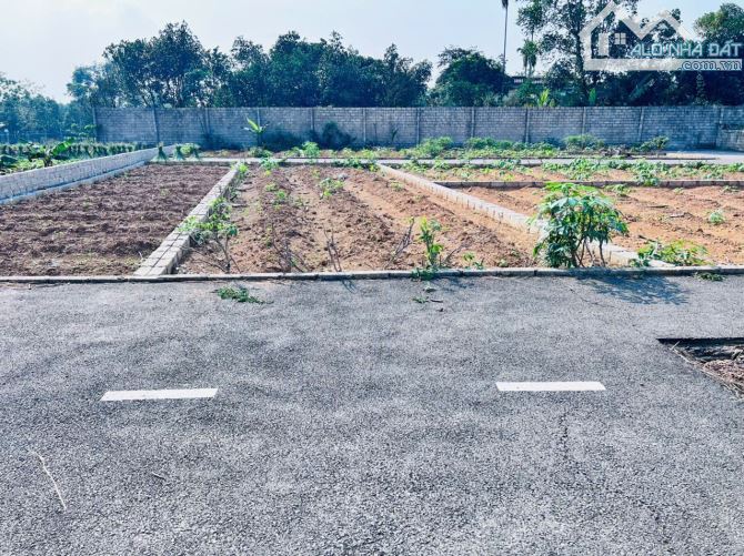 100 m giá hơn 2 tỷ cách Đường DH 09 sắp mở 300 m - 1