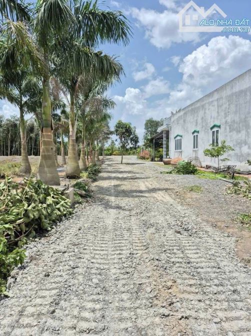 974m2 Nhựt Chánh Bến Lức đường 4m xe tải chạy giá 2tỷ7 - 1