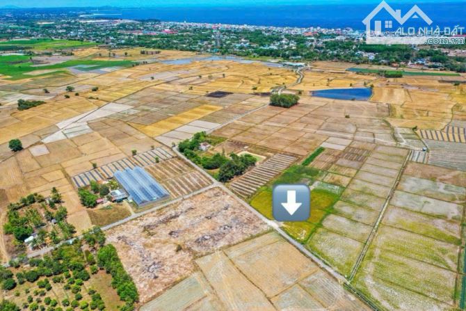 Thị Trấn Phước Hải - BRVT; cách biển Phước Hải chỉ 2km  🌈DT 689,5m2 32x28m - 1